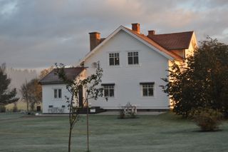 Talliden 2011